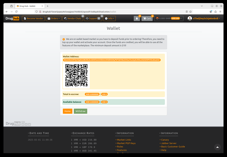 Monero wallet creation and seed backup screen